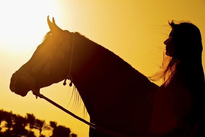 Horse Riding Tour 2 Hours on Sea And Desert & Transfer -Hurghada - Guides: why the human touch changes everything