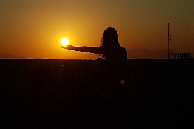 Horse Riding Tour 2 Hours Sea And Desert with Transfer - Hurghada - Key Points to Know Before You Go