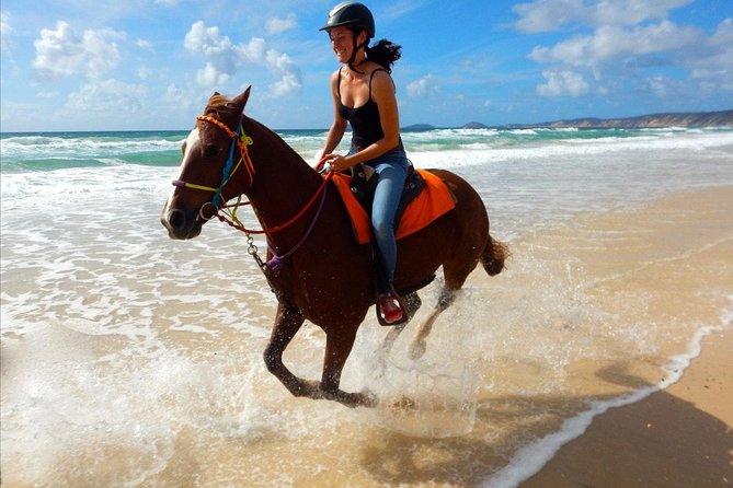 Horse Riding Tour 2 Hours Sea And Desert with Transfer - Hurghada - Where the Tour Fits in Your Hurghada Plan