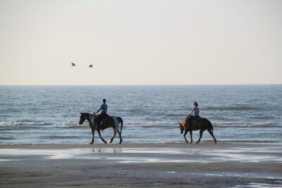 Horse Riding Tour 2 Hours Sea And Desert with Transfer - Hurghada - Desert Riding: Why It Feels Different From Walking