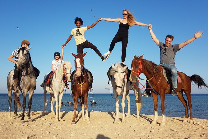 Horse Riding Tour 2 Hours Sea And Desert with Transfer - Hurghada - Safety and Beginner Support That Actually Matters