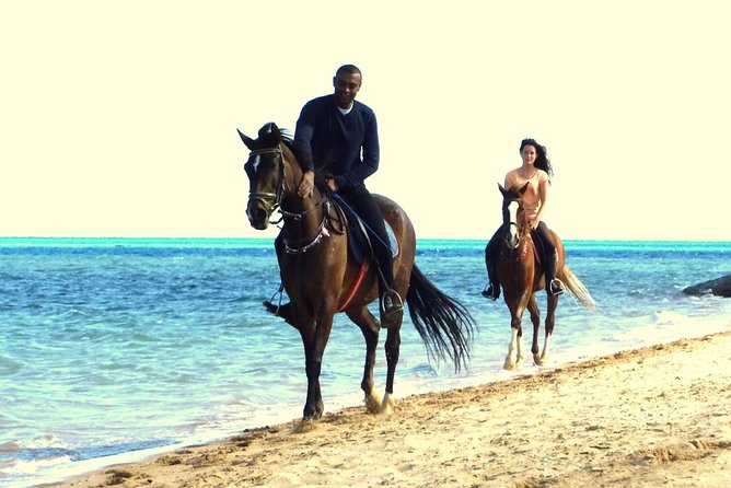 Horse Riding Tour 2 Hours Sea And Desert with Transfer - Hurghada - Who This Tour Fits Best (and Who Might Want Another Option)