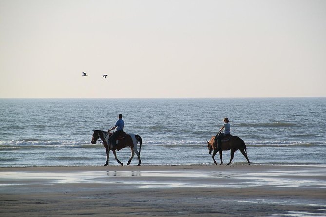 Horse Riding Tour 2 Hours Sea And Desert with Transfer - Hurghada - Desert Riding: Why It Feels Different From Walking