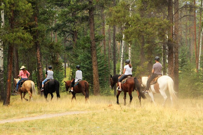 Horse Riding Tour in Marmaris - Price and Value: Why $30 Can Make Sense (and When It Won’t)