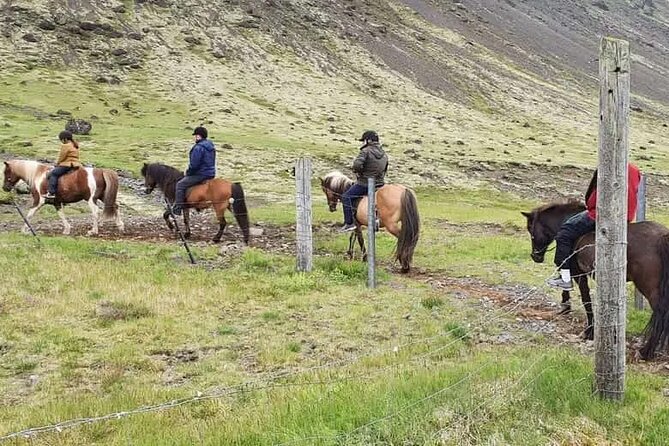 Horse Riding Tour in Reykjadalur (Smoky Valley)-All Riding Levels - Beginner-Friendly Riding: Instruction That Helps You Relax