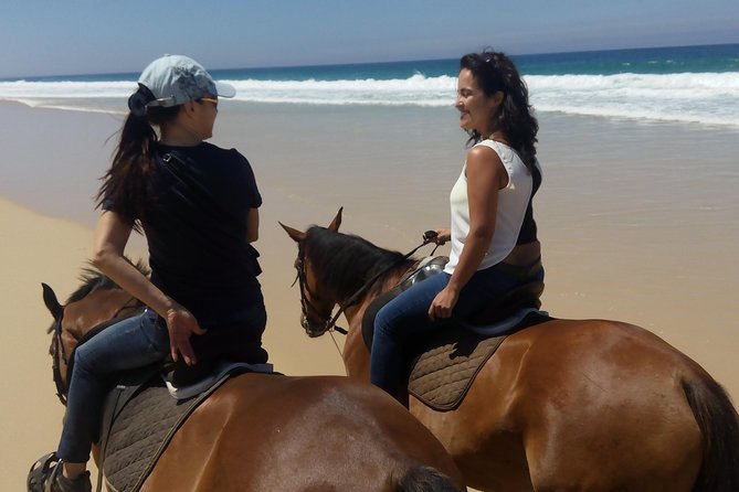 Horse Riding Tour on the Beach Lisbon region - Why Comporta’s beach-and-rice horseback ride works so well from Lisbon