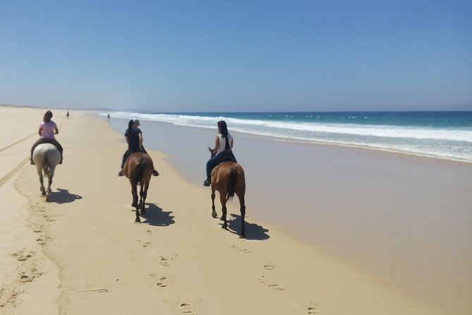 Horse Riding Tour on the Beach Lisbon region - Stables at 11:15: helmets on, Paulo in charge, first-time comfort