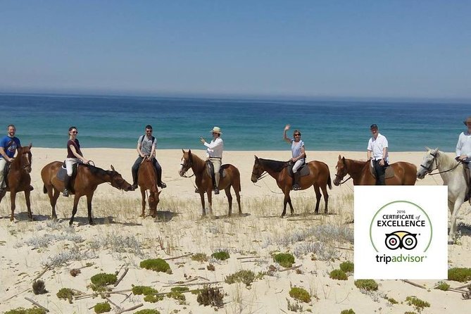 Horse Riding Tour on the Beach Lisbon region - Value and price: what you’re really paying for at $337.43 per person