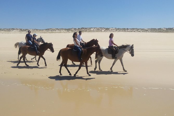 Horse Riding Tour on the Beach Lisbon region - Who this Comporta horseback tour suits best