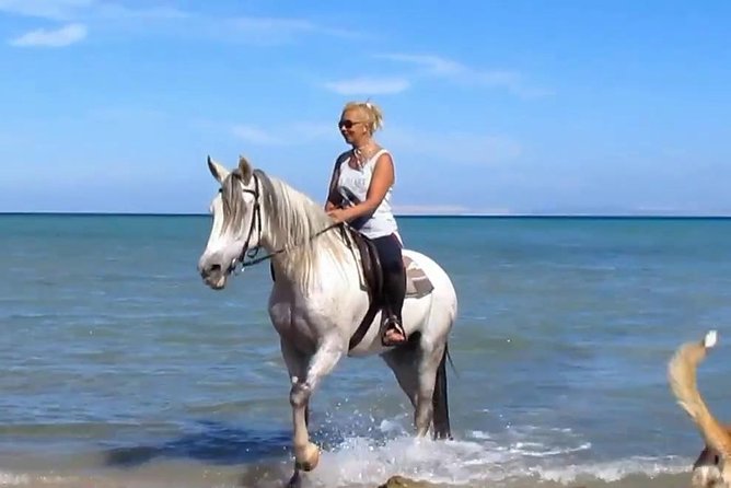 Horse Riding Tour Two Hours Sun & Sea With Transfer - Hurghada - Desert Trail to Sea Splash: What Makes This Hurghada Ride Different