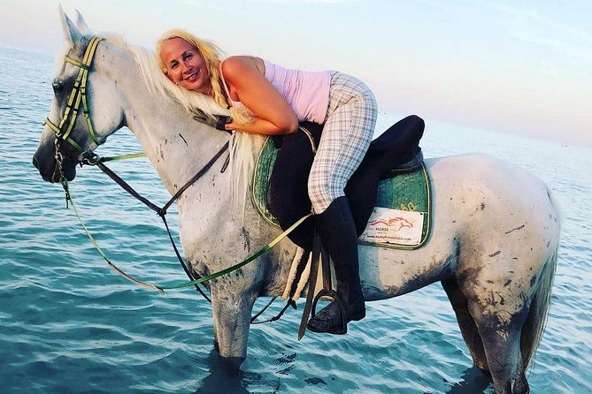 Horse Riding Tour Two Hours Sun & Sea With Transfer - Hurghada - Door-to-Door Transfers: Your Day Stays Low-Stress