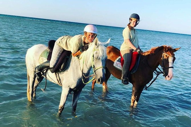 Horse Riding Tour Two Hours Sun & Sea With Transfer - Hurghada - The Ride: Desert Hour First, Then the Red Sea