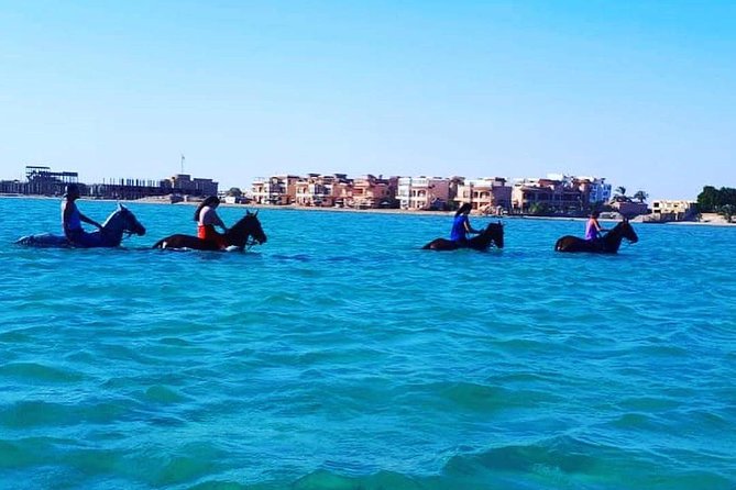Horse Riding Tour Two Hours Sun & Sea With Transfer - Hurghada - Who This Tour Fits Best (and Who Should Think Twice)