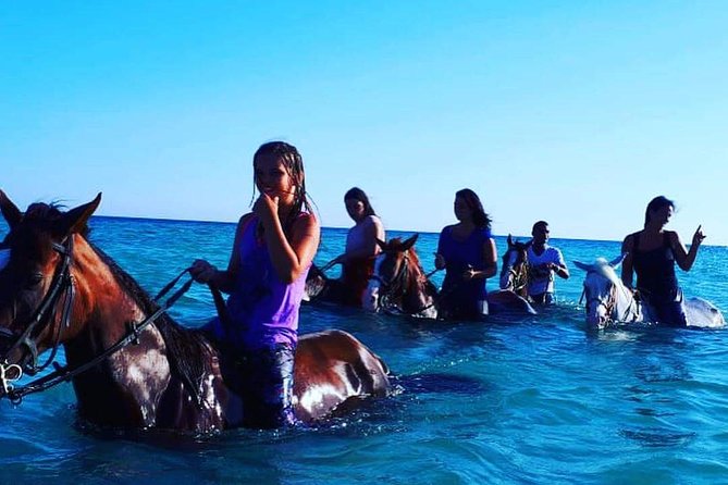 Horse Riding Tour Two Hours Sun & Sea With Transfer - Hurghada - Ratings and Track Record: What the Numbers Suggest