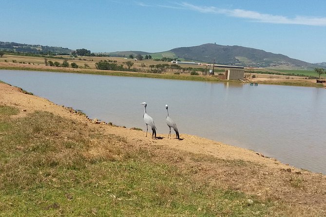 Horse Riding Wildlife Safari - Where you meet at Pete’s and what happens before you ride