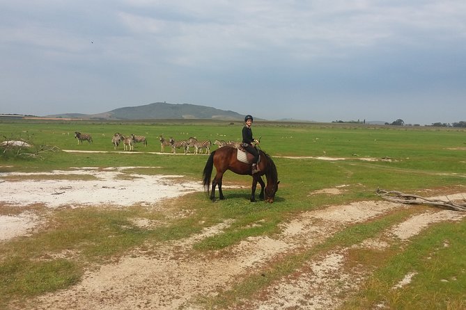 Horse Riding Wildlife Safari - Wildlife you can actually expect to spot from the saddle