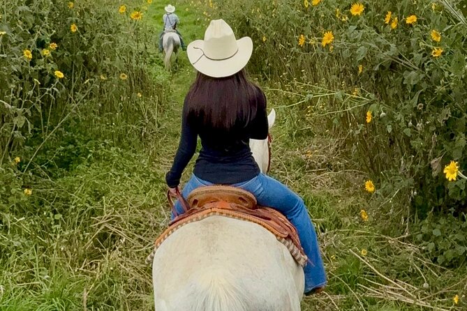 Horseback, Culture & Mexican Flavors Experience - Key highlights to know before you go