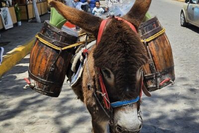 Horseback, Culture & Mexican Flavors Experience - The snack stop in Tepe: fueling up before you mount