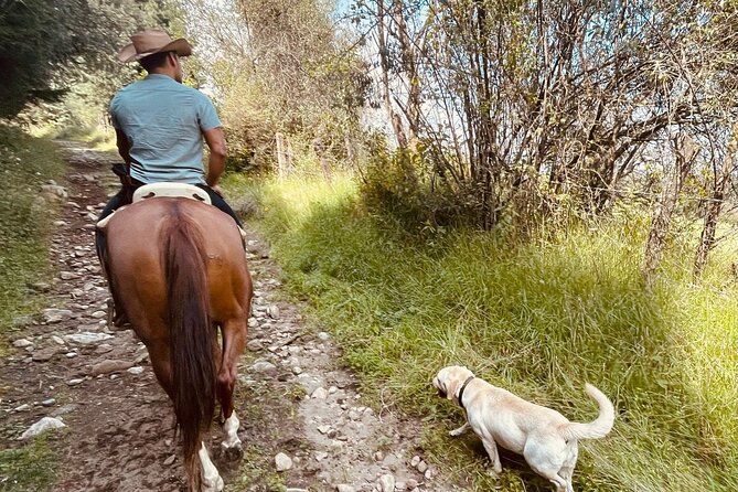 Horseback, Culture & Mexican Flavors Experience - The small extras: hats, bathrooms, and a horse show moment