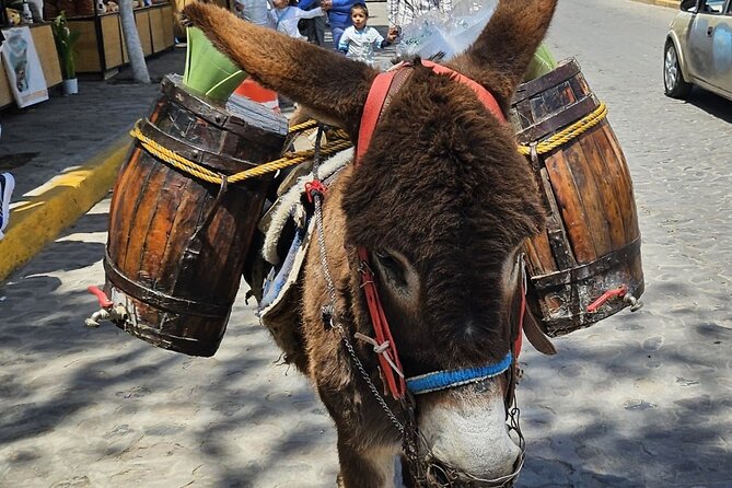 Horseback, Culture & Mexican Flavors Experience - The snack stop in Tepe: fueling up before you mount