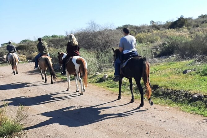 Horseback Mountain Trail Ride - The Hilltop Views: Ocean Outlooks and Photo-Friendly Moments