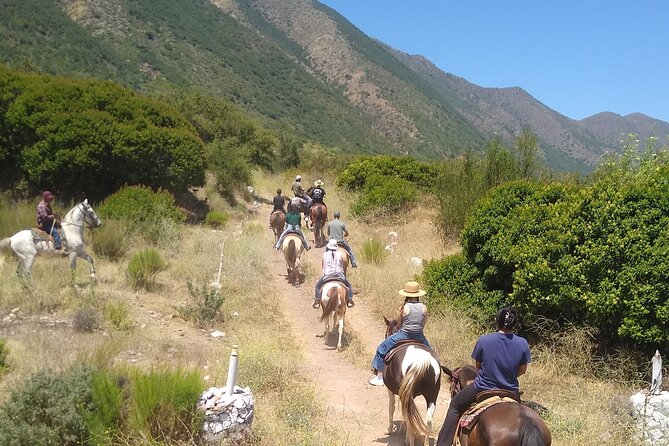 Horseback Mountain Trail Ride - Price and Value: Is $60 a Good Deal?