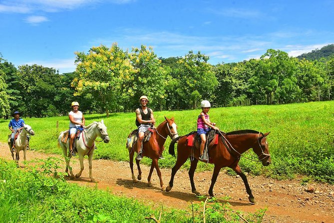 Horseback + Natural Pool Adventure in Jaco Beach and Los Suenos - Horseback riding in the Costa Rica jungle: trained horses and real hills