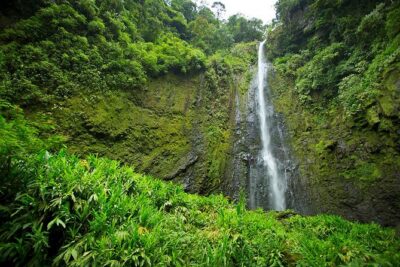 Horseback our Hacienda - 4 hours Coffee Tour - The waterfall ride: why this “coffee tour” feels like a real adventure