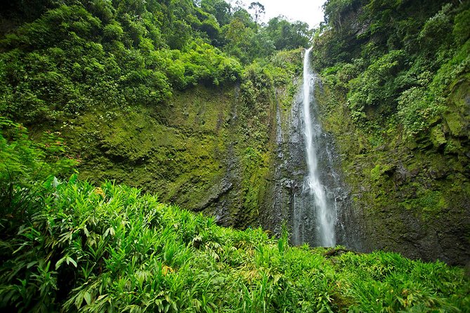 Horseback our Hacienda - 4 hours Coffee Tour - The waterfall ride: why this “coffee tour” feels like a real adventure