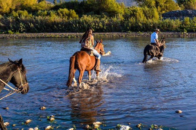 Horseback Private Wine Tour and Country Grill from Santiago - Horseback and Wine in Maipo Valley: Why This Day Feels Different