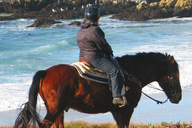 Horseback Ride & Alcatraz Prison Tickets - A combo day that actually makes sense