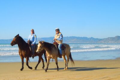 Horseback Ride & Alcatraz Prison Tickets - Morning logistics: pickup, pace, and what 8:30am means