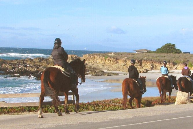Horseback Ride & Alcatraz Prison Tickets - The part people miss: your end-of-day drop-off plan