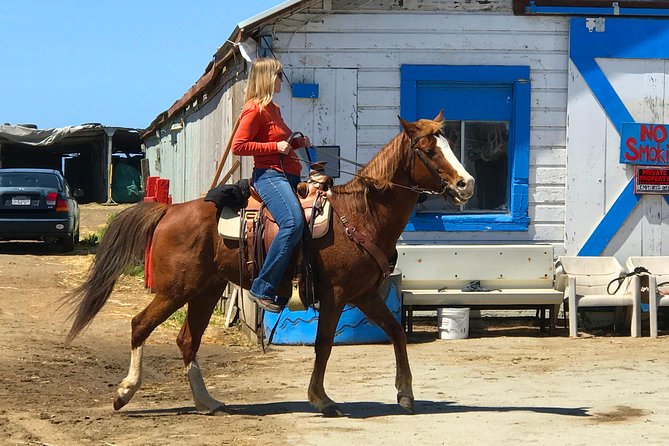 Horseback Ride & Alcatraz Prison Tickets - Who this tour is for (and who should skip it)