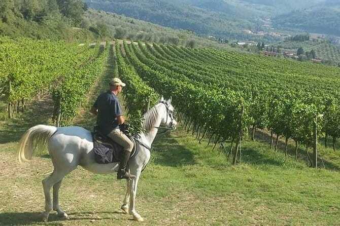 Horseback ride and gourmet cuisine in a historic food shop - From Piazza dei Cavalleggeri to the Chianti countryside