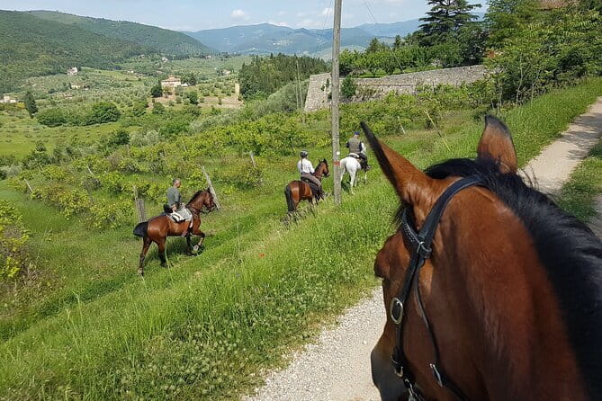 Horseback ride and gourmet cuisine in a historic food shop - The 1-hour guided horseback ride through Chianti hills