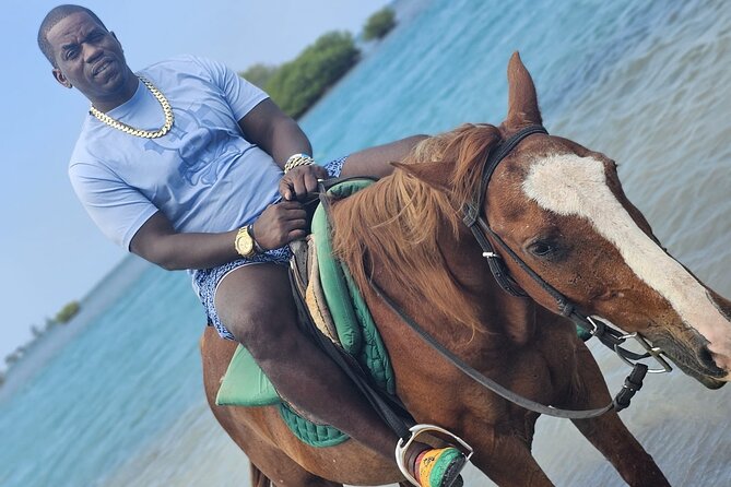 Horseback Ride and Swim Experience Montego with Transportation - The swim-with-your-horse moment (and why it’s the whole point)