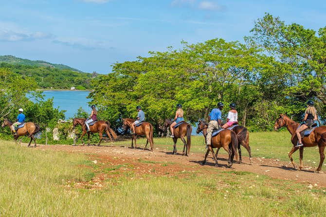 Horseback Ride and Swim from Ocho Rios - From Ocho Rios to the stables: expect some transfer time
