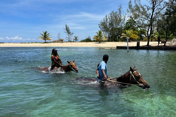 Horseback Ride and Swim Guided Tour from Montego Bay - How the Sand N Saddle Ride-and-Swim Feels in Montego Bay