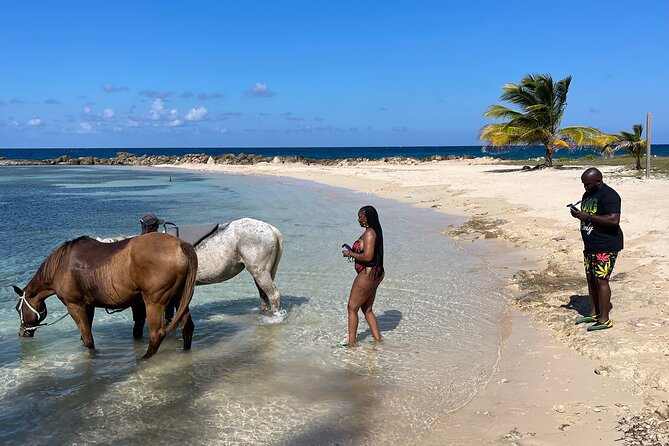 Horseback Ride and Swim Guided Tour from Montego Bay - The Private Beach and the Bareback Swim Moment