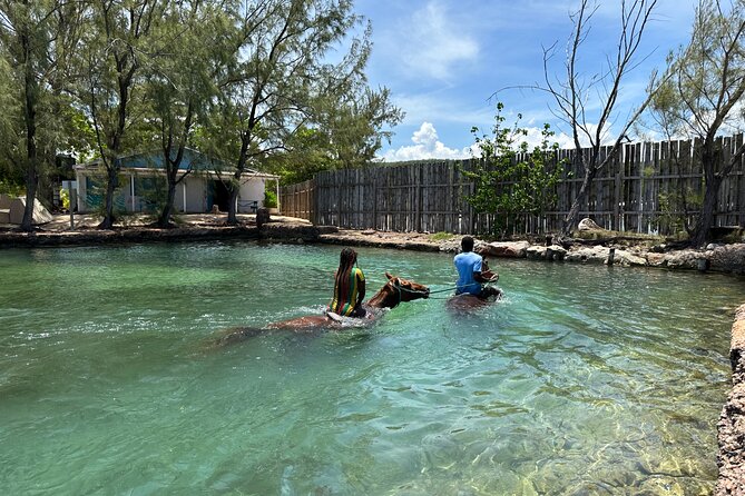 Horseback Ride and Swim Guided Tour from Montego Bay - Price and Value: What $160 Gets You (and What It Doesn’t)