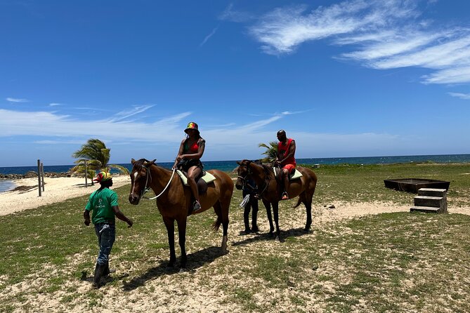 Horseback Ride and Swim Guided Tour from Montego Bay - Getting Picked Up: Transport, Group Size, and Comfort
