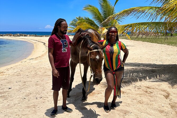 Horseback Ride and Swim Guided Tour from Montego Bay - Who Should Book This Horse Ride and Swim?