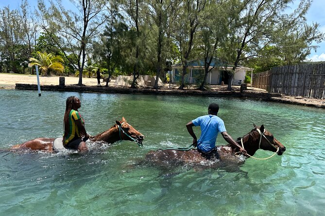 Horseback Ride and Swim Guided Tour from Montego Bay - Meet the Horses: Safety, Helmets, and Why Welfare Shows