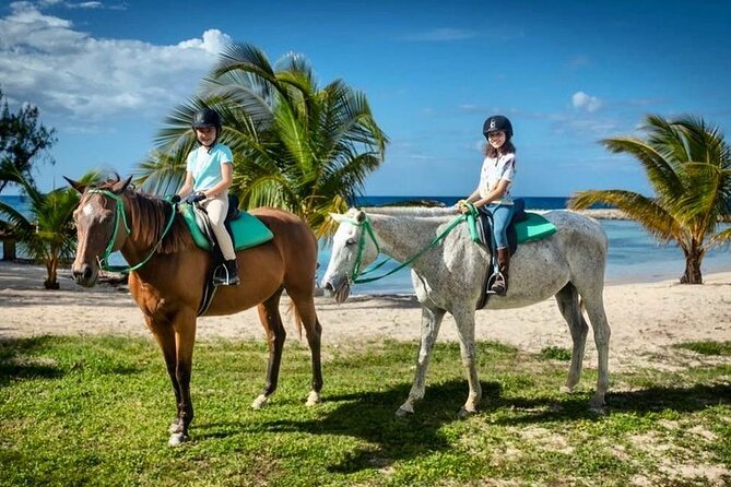 Horseback Ride and Swim Jamaica - From Montego Bay pickup to saddles: the timing that matters