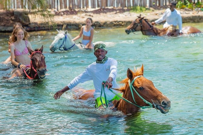 Horseback Ride and Swim Jamaica - Beach time on horseback: why this section hits differently