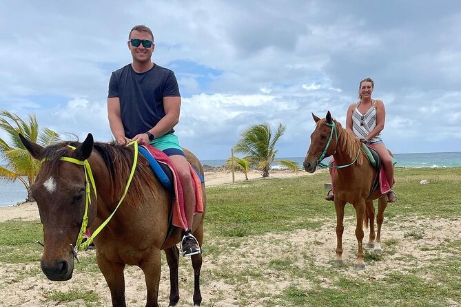 Horseback Ride and Swim Jamaica - Horses and guides: why animal care is part of the value