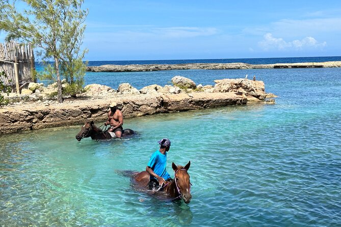 Horseback Ride and Swim Tour In Montego Bay - Price and value for $170 per person