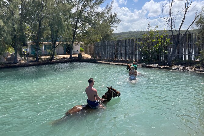 Horseback Ride and Swim Tour In Montego Bay - Should you book this horseback ride and swim tour?