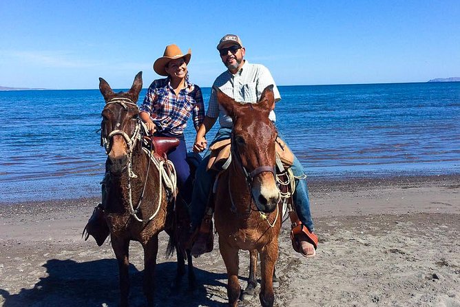 Horseback ride and witness magical sunset of Loreto, BCS - Horseback Riding in Loreto: The “No-Fuss” Way to See the Coast